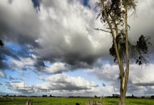 奥地利运动员斩获耀眼成绩，喜讯频传