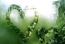 开拓者老将门罗接受新闻记者大讲堂：一堂关于篮球、媒体与人生的公开课