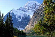 骑士新秀季后赛表现不俗，成为球队未来发展希望