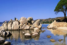 加拿大国脚意外受伤，球队战力受损